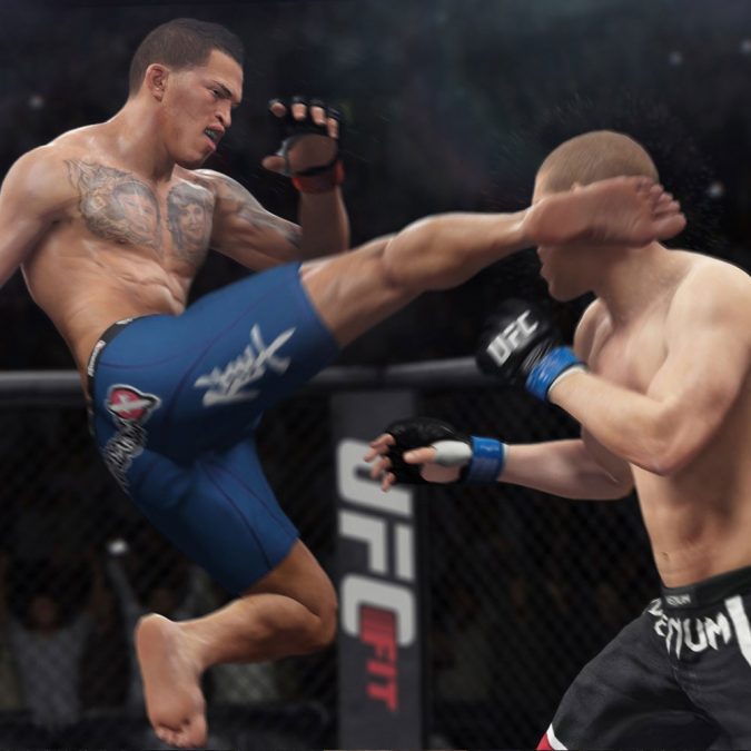 Сколько весит ufc 4 на ps4