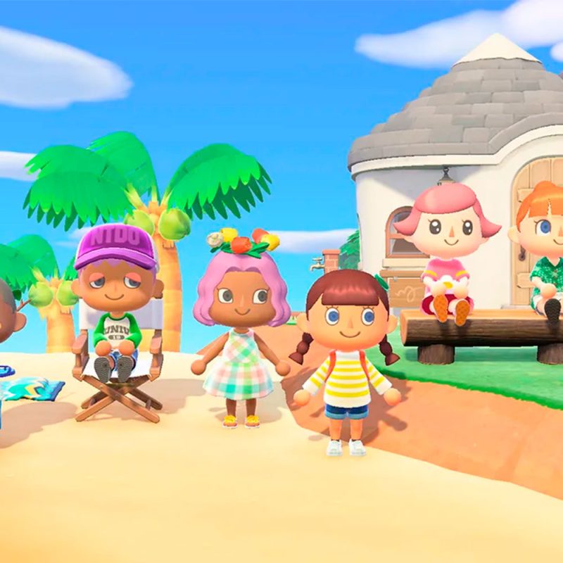 Animal Crossing New Horizons - NSW